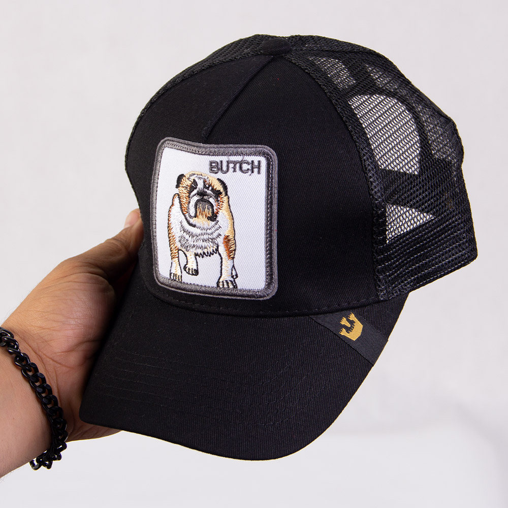 zo-th-1